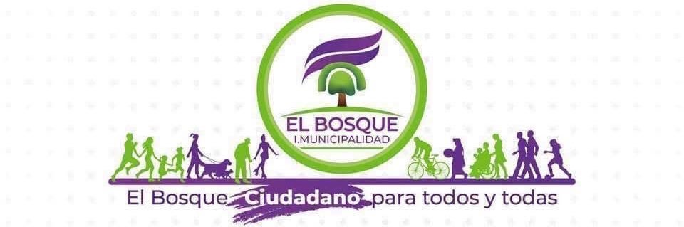 Municipalidad de El Bosque banner