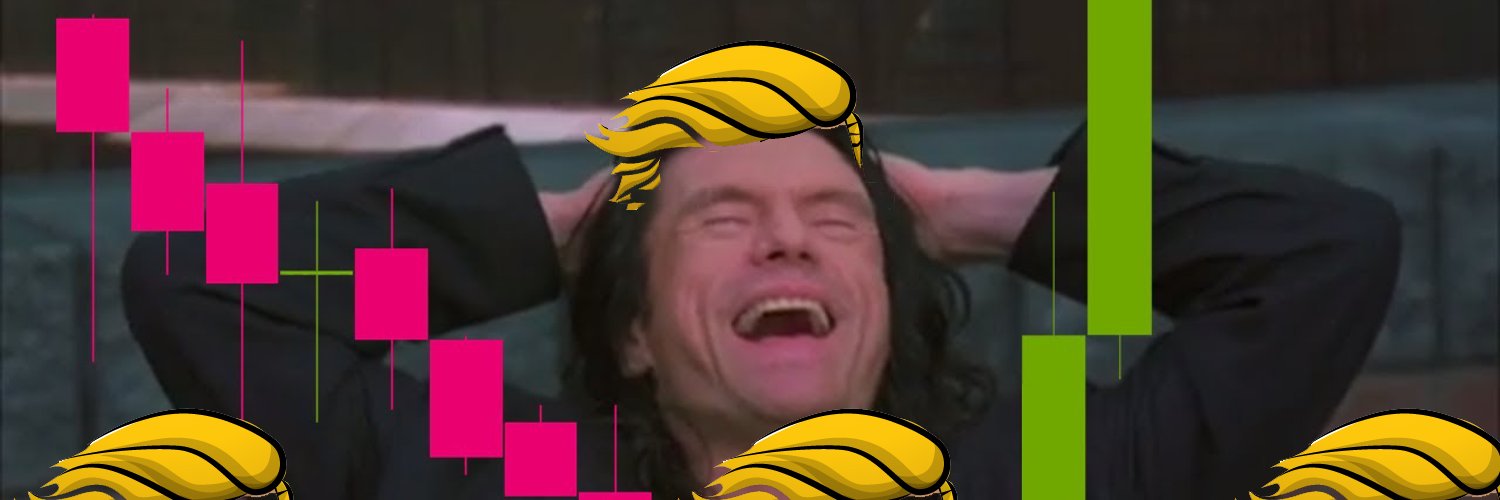 Wiseau banner