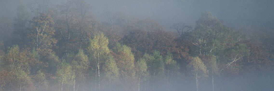 arihide's profile banner image