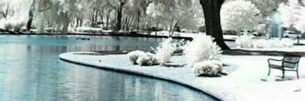 Cexi2985's profile banner image
