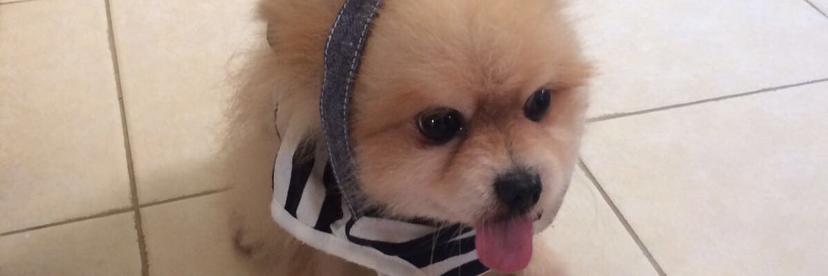 irkedme's profile banner image