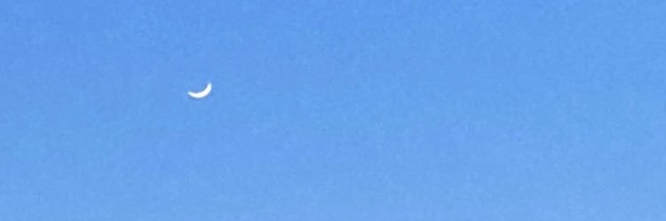__a_ini's profile banner image