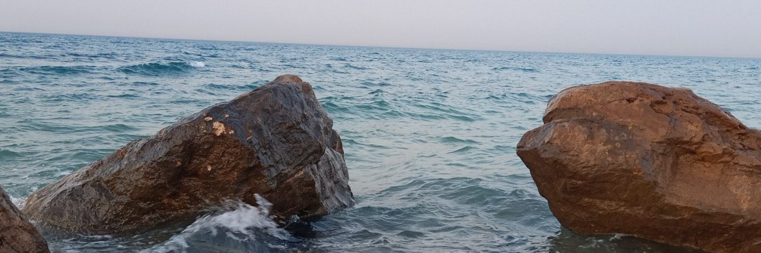 dinasamak's profile banner image