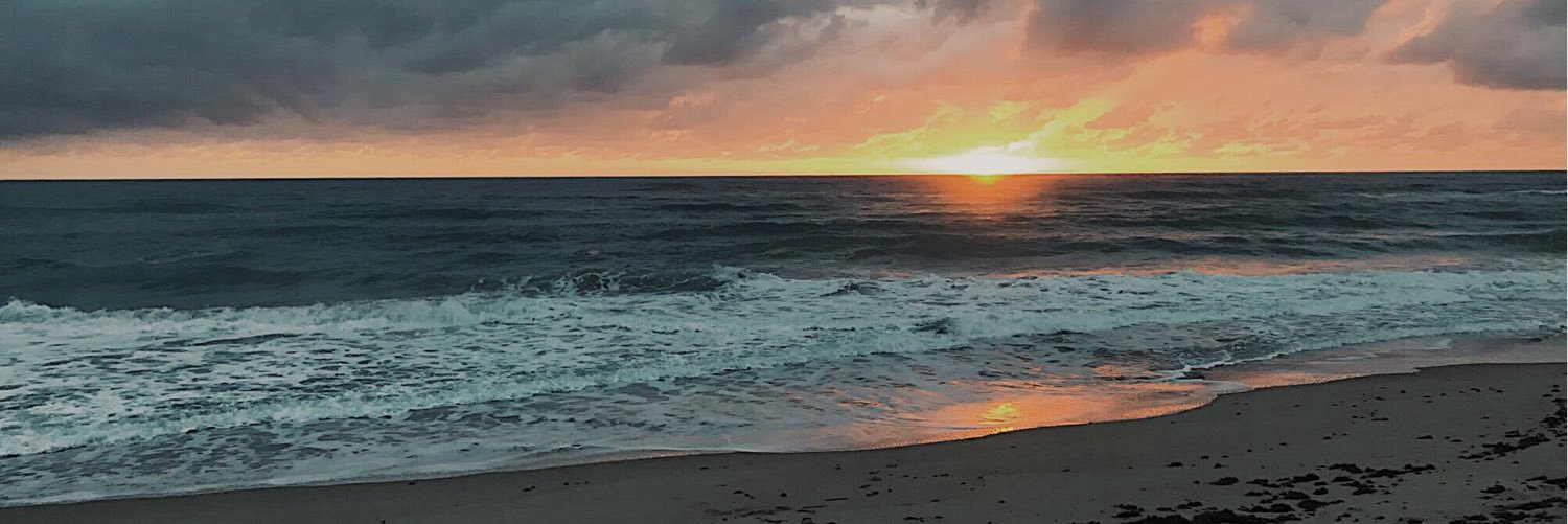 BrandoComando_'s profile banner image