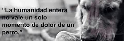 karo_Notario's profile banner image