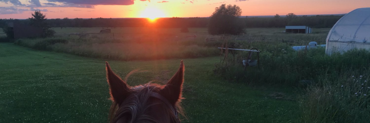 kymaccoux's profile banner image