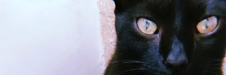 fernandapazz_'s profile banner image