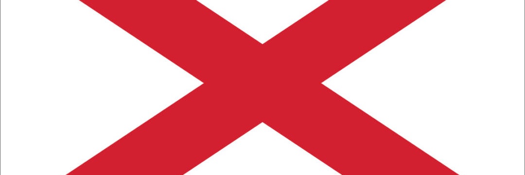 Deplorable Fighter banner