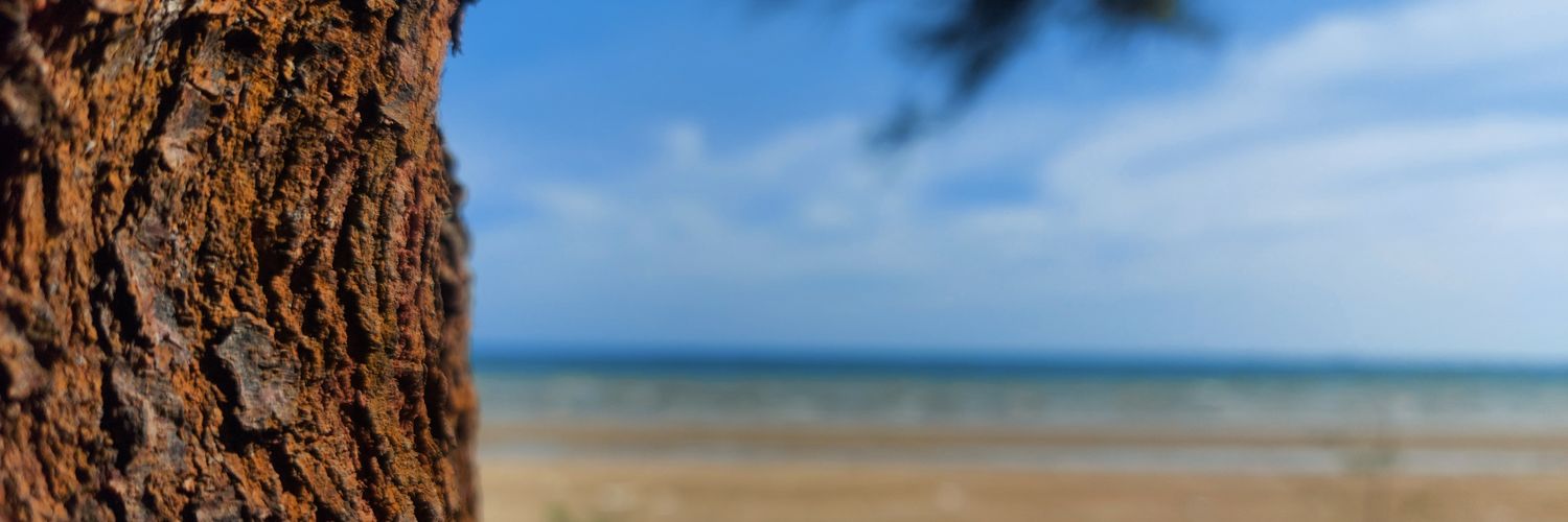 dwiadyis's profile banner image