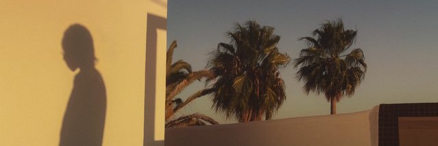 meyv banner