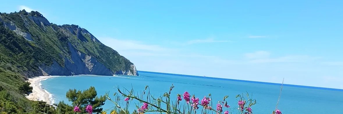 Emanuele Lodolini banner