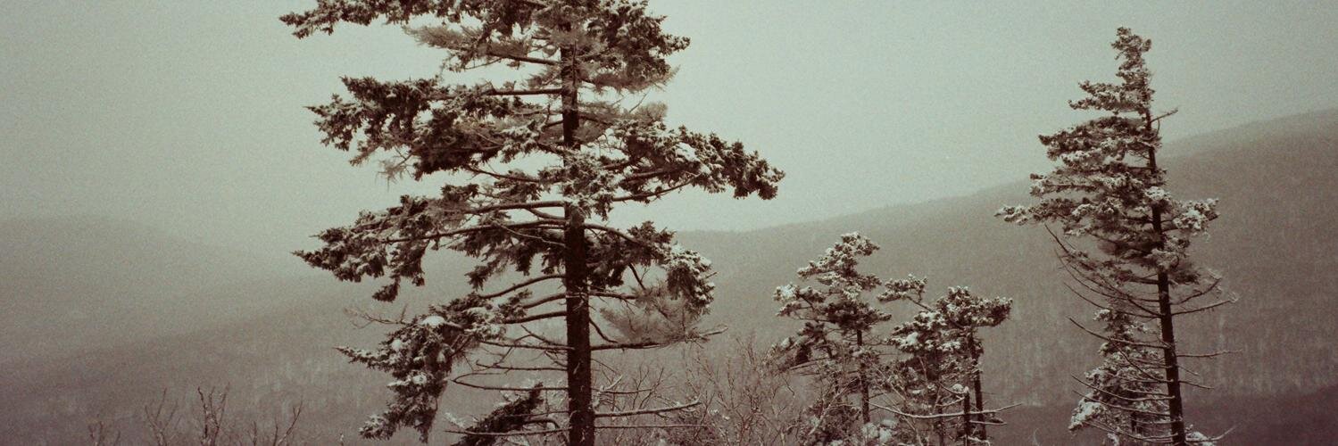 VNDLmag's profile banner image