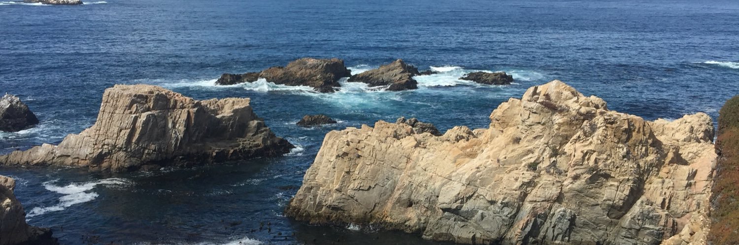 Michelle Ramirez banner