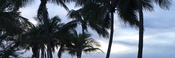 MetMeganB Profile Banner