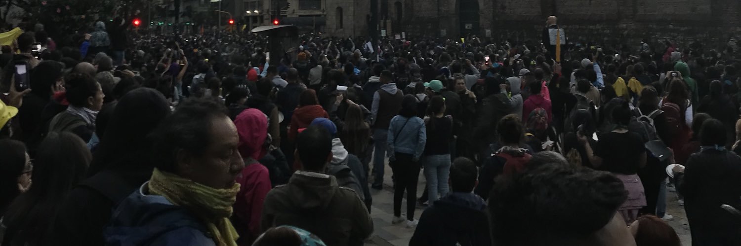 Beatriz Irene banner