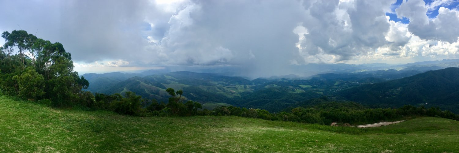 Michaela Grill banner