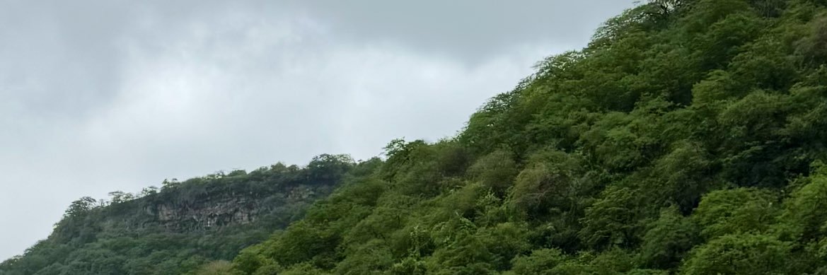 Amnanasser_'s profile banner image