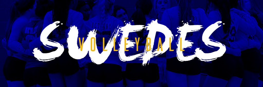 Bethany College Volleyball banner