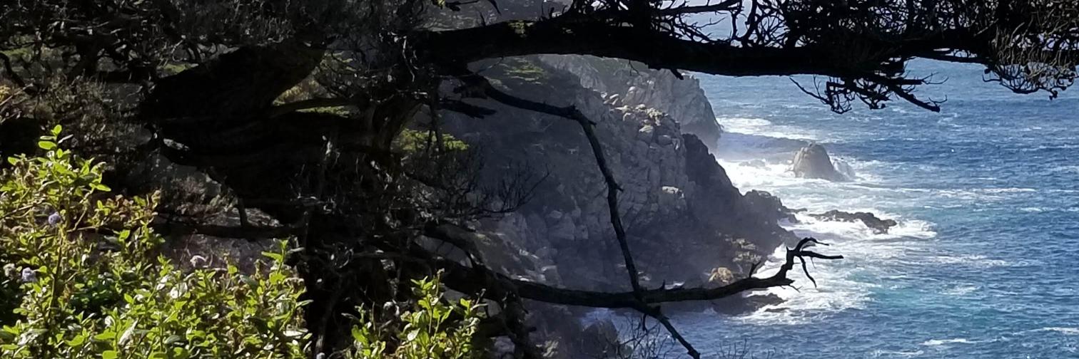 avyventures's profile banner image
