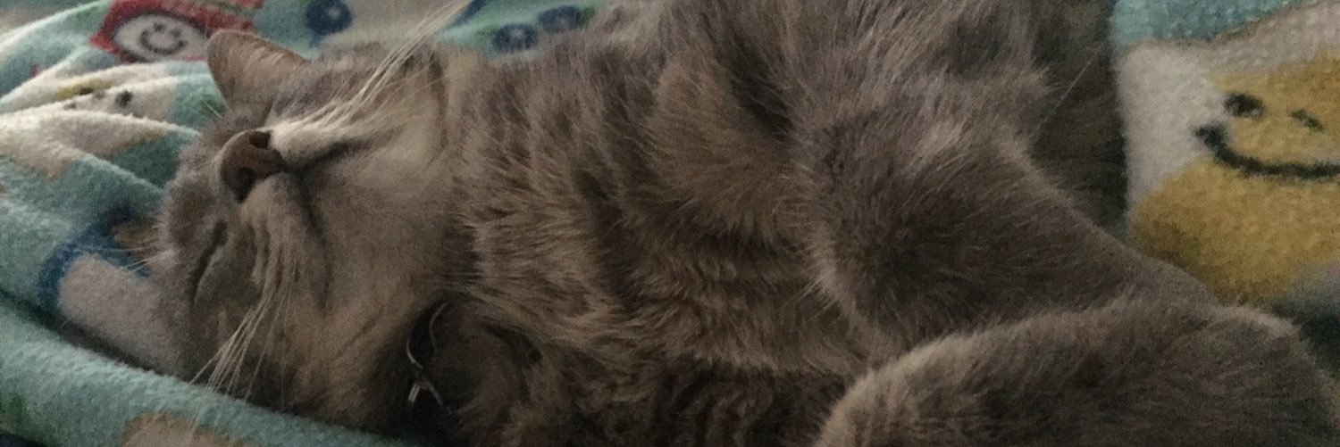 rootyofallevil's profile banner image