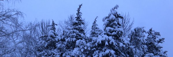 tdbwrites Profile Banner