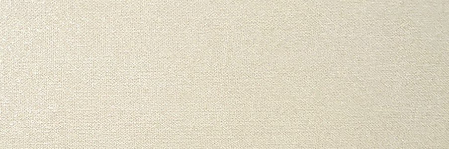 Lizcatto. banner