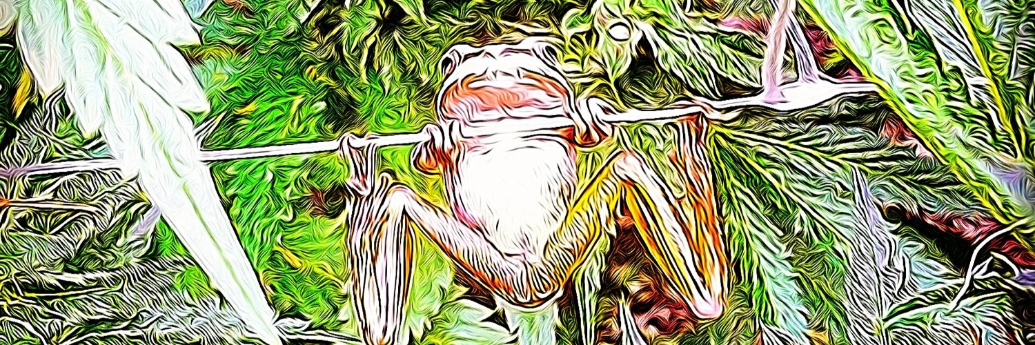 VaughnBanning's profile banner image