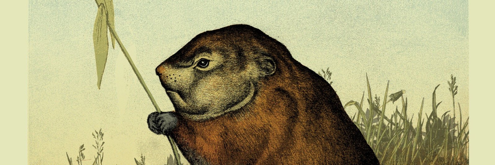 ArnaMiller's profile banner image