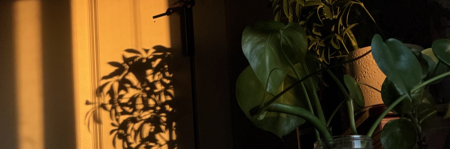kenanilynn's profile banner image