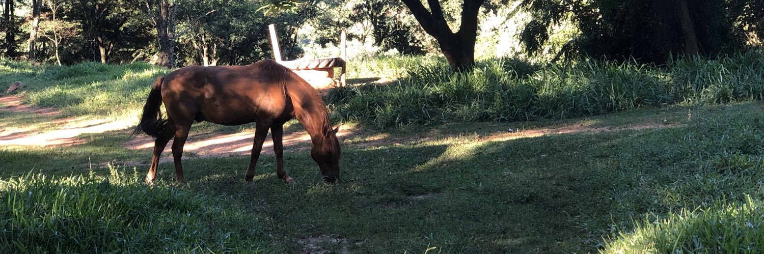 ArthurVilela20's profile banner image