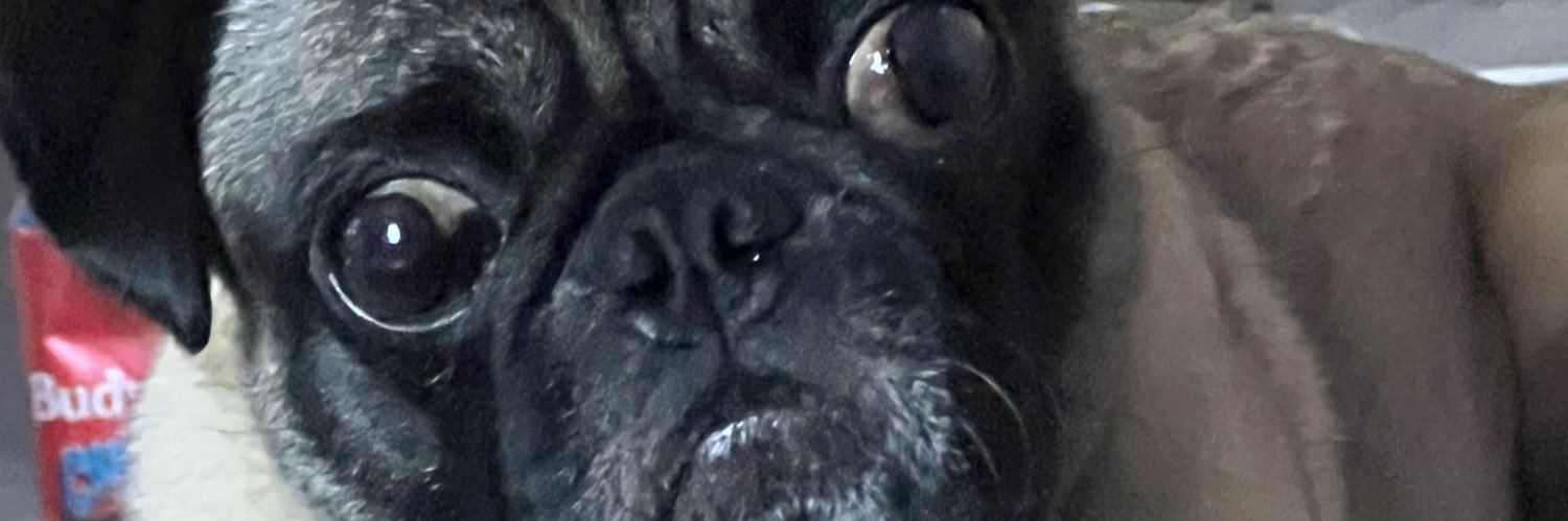 Dfletch_53's profile banner image