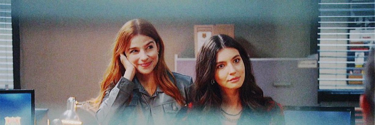 paula DETETIVE EDUARDA FRAGOSO banner