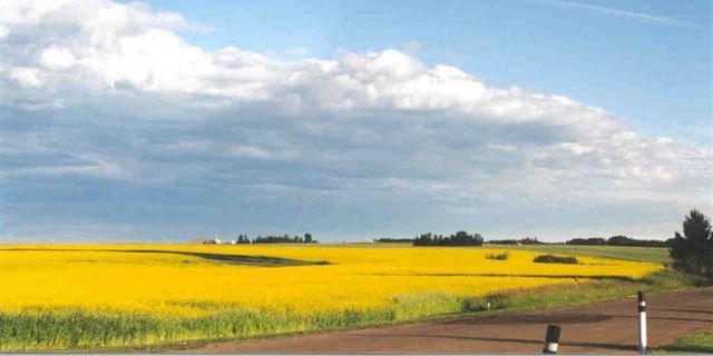 _VEGREVILLE's profile banner image