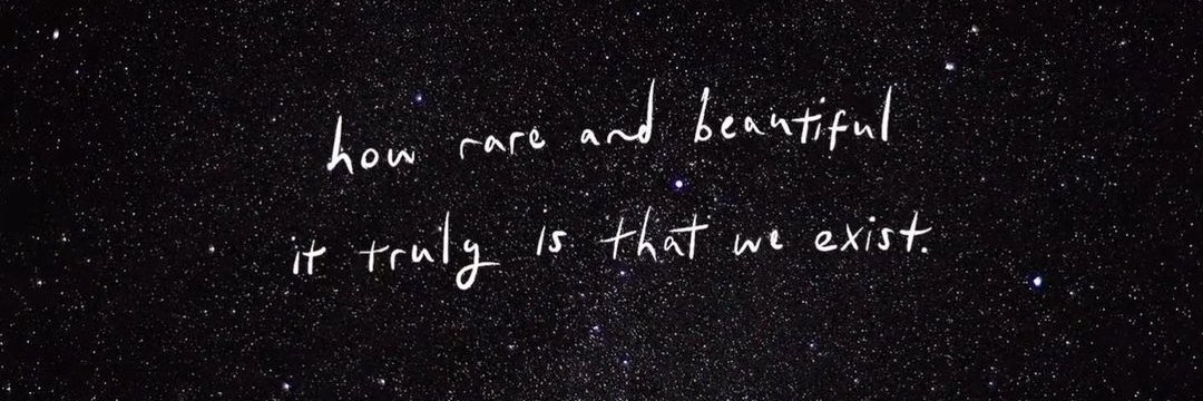 nadinefearless 🐨 banner