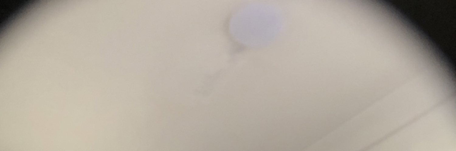 elia banner