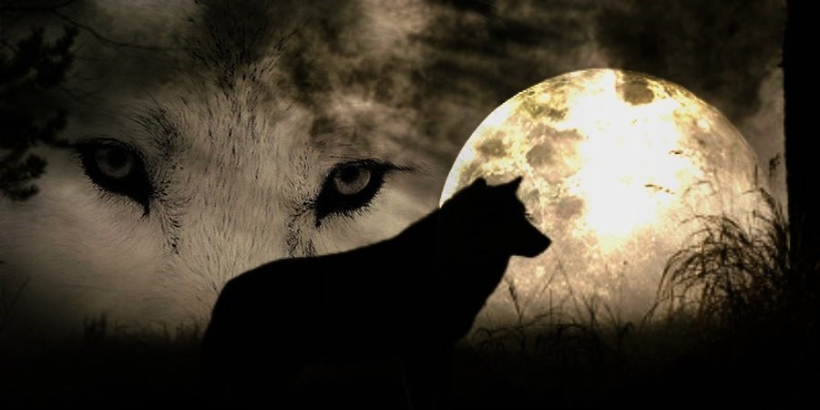 AHopeGoodwin86's profile banner image