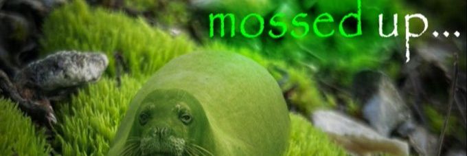 NomadicColossus's profile banner image