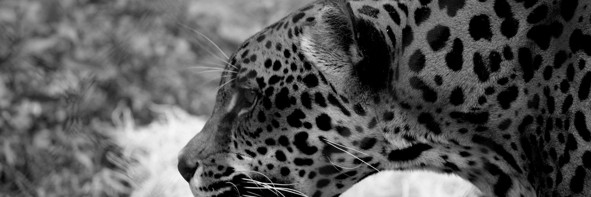 EWPhotographyy's profile banner image