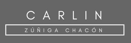 CarlinZCh's profile banner image