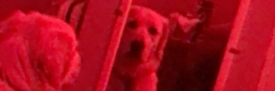 AleeRosa17's profile banner image