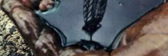 ThomasKenzie1's profile banner image