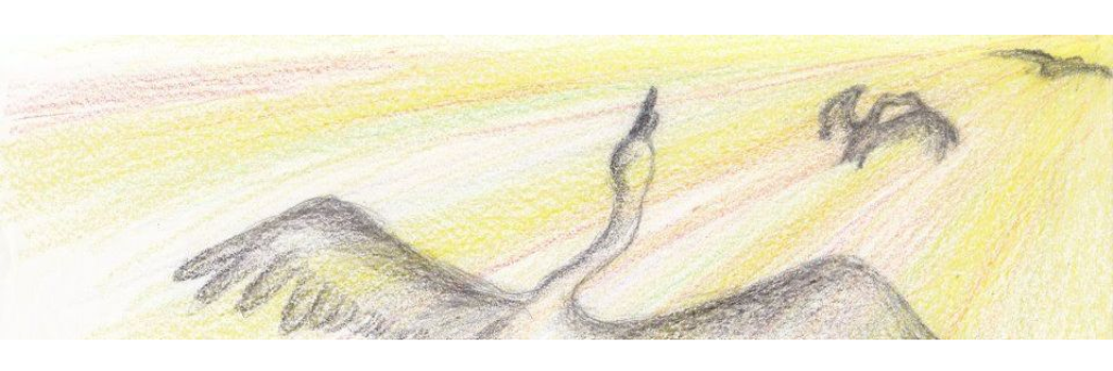 tsuyoshi_37yo's profile banner image