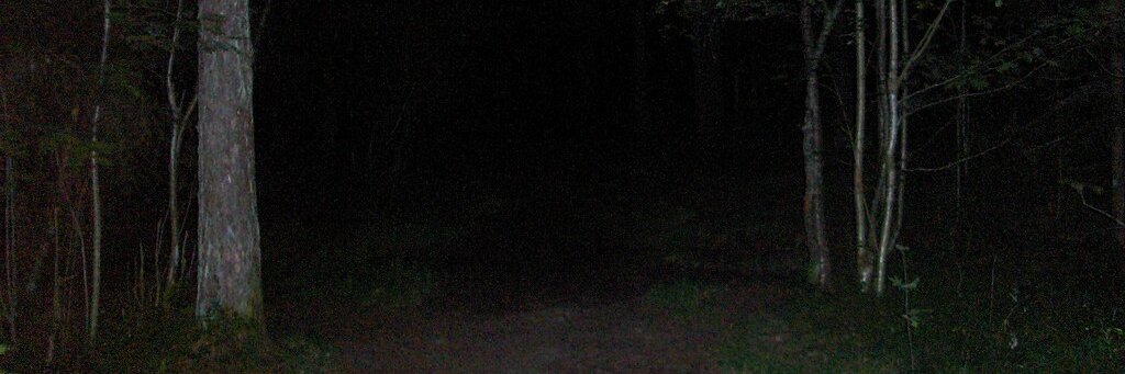 𝖆𝖓𝖌𝖊𝖑🕊 banner