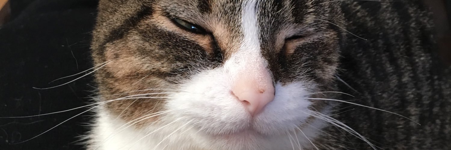 Jeanius243's profile banner image
