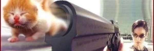 MeilleMay's profile banner image