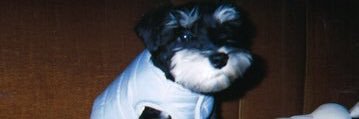 IRIS MY BABY🍼 banner