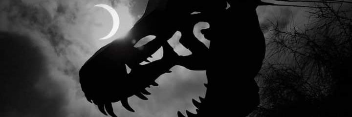 franck_z3ro's profile banner image