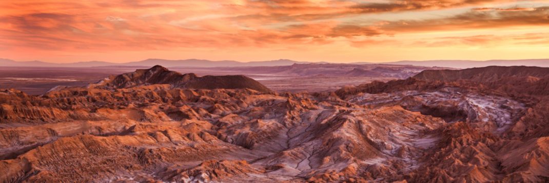 Virginia⚡️ banner