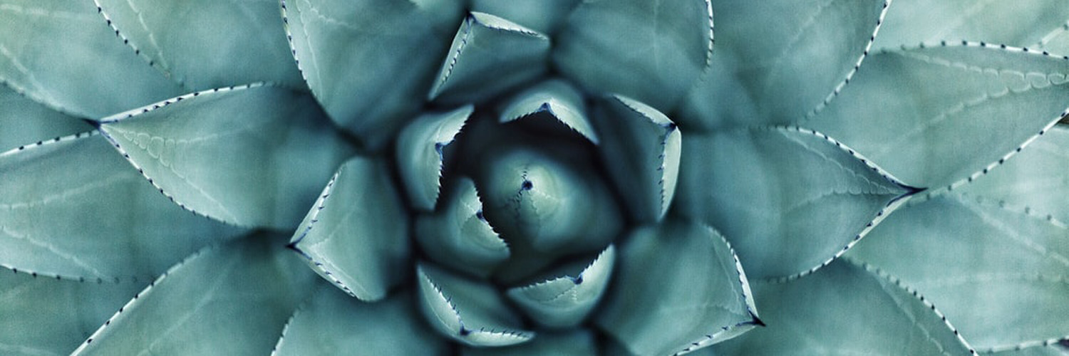 Rita Tipler⚡️ banner