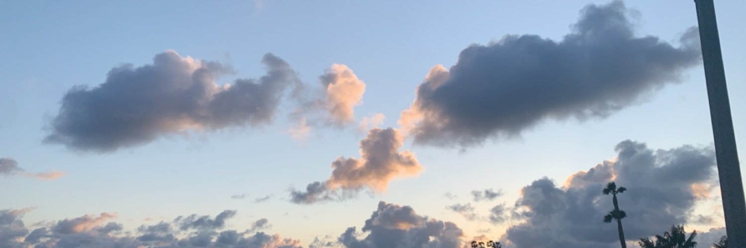 alysianielson's profile banner image